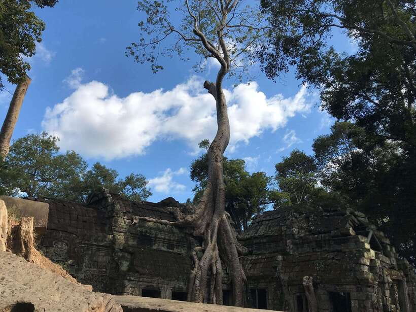Angkor Wat by Vintage Jeep – Private Tour (Optional Sunrise) - Key highlights worth caring about