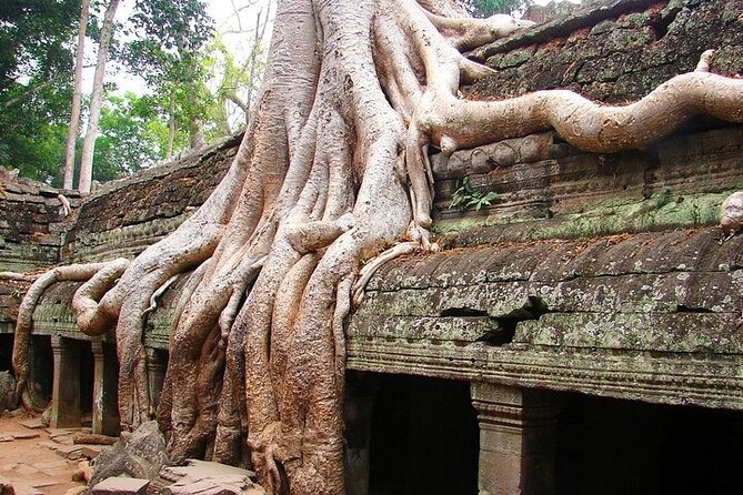 Angkor Wat Full-day Private tour - Angkor Thom South Gate to Bayon: 216 faces and a maze of scenes