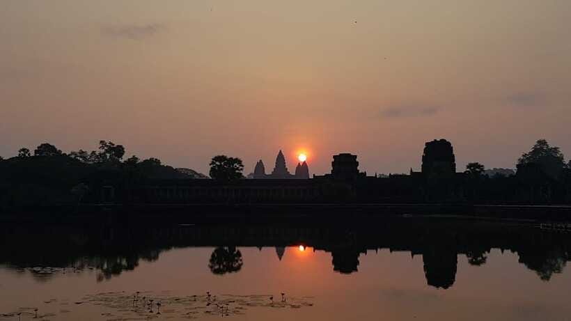 Angkor Wat Full-Day Private Tour with Sunset - Ta Prohm: the jungle temple that looks like it’s still growing