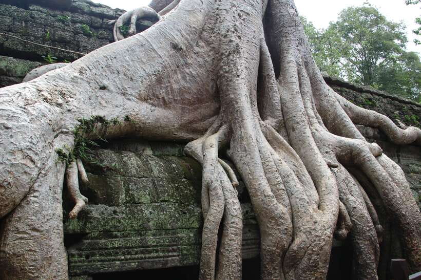 Angkor Wat Full-Day Private Tour with Sunset - What you’re really paying: price, temple pass, and lunch math
