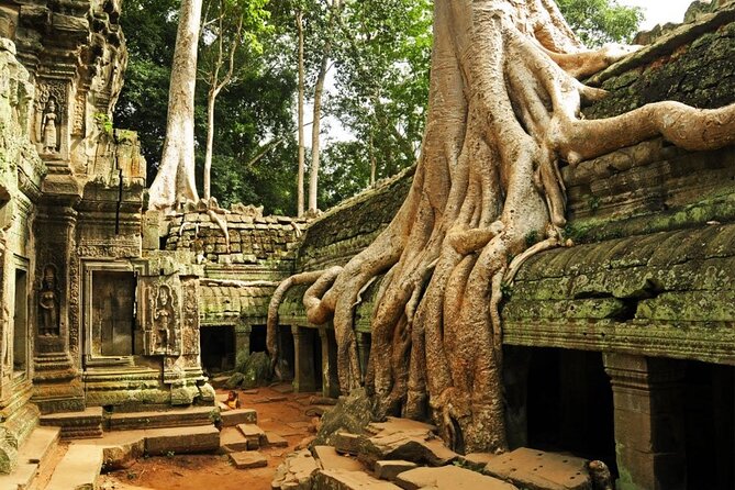 Angkor Wat full Day 'Small Group with sunset & Tour Guide - Ta Prohm: the Tomb Raider temple moment