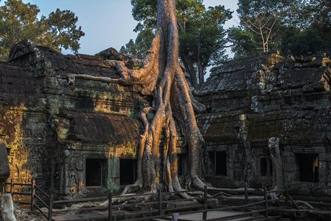 Angkor Wat highlight Tour From Sunrise -Small Group - Bayon’s central towers: what to look for besides faces