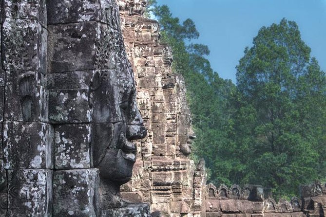 Angkor Wat highlight Tour From Sunrise -Small Group - Ta Prohm after the break: jungle mood with a guided structure