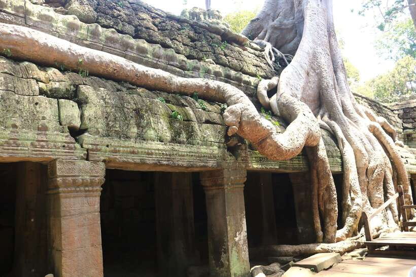 Angkor Wat: Highlights and Sunrise Guided Tour - Who Should Book This Sunrise and Temple Hopping Plan