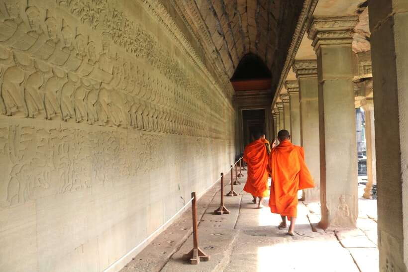 Angkor Wat: Highlights and Sunrise Guided Tour - Ta Prohm: Jungle Roots, Photo Timing, and the Walk That Feels Like a Movie