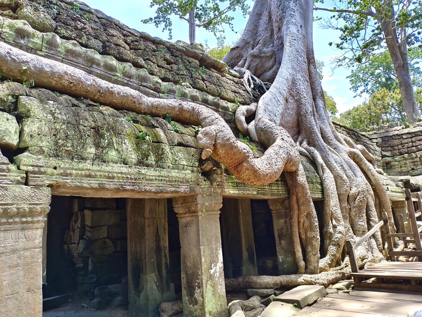 Angkor Wat: Highlights and Sunrise with Spanish Guide - Ta Prohm: jungle ruins, 2,740 monks, and slow photo stops