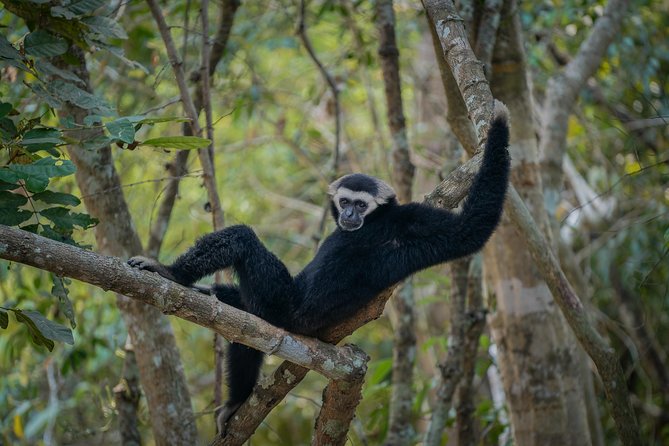 Angkor Wat Park Zip Line Adventure in Siem Reap - Pairing it with temples: planning a smooth Siem Reap day