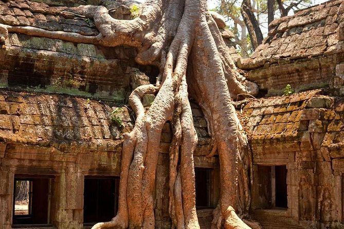 Angkor Wat Private Day Tour - Price and value: what $45 covers, and what’s extra