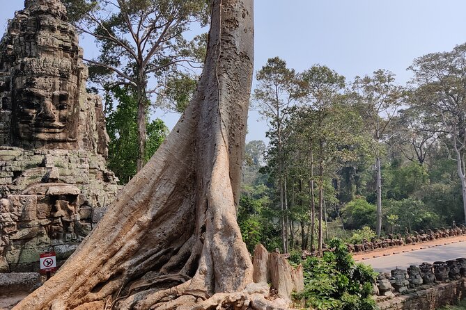 Angkor Wat Private Tuk-Tuk Tour (sunrise Option) & more - What’s included (and what you’ll handle yourself)