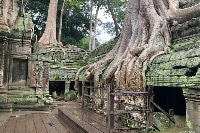 Angkor Wat Small Circuit Tour - Ta Prohm (Tomb Raider) in the Heat: Jungle Roots vs. Your Photos