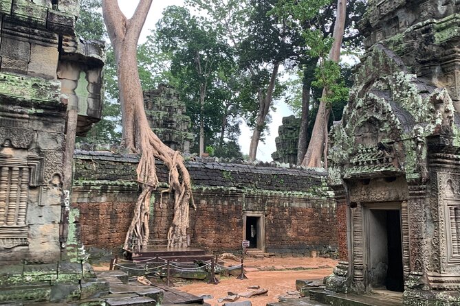 Angkor Wat Small Circuit Tour - Lunch at Angkor Archaeological Park: One Hour to Reset
