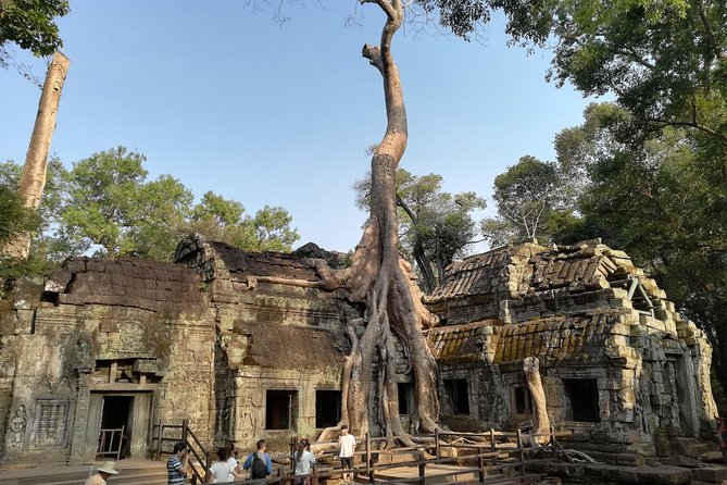 Angkor Wat Small Circuit Tour - Temple Pass Cost and Timing: The One Extra Bill to Budget