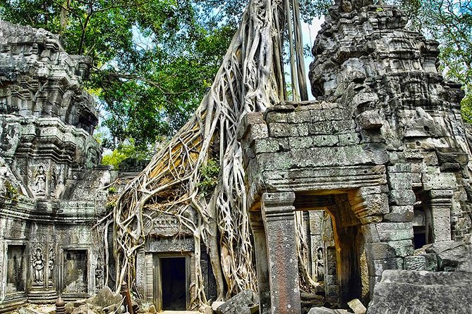 Angkor Wat Small-Group Exploration with Expert Guide - Lunch in the Park: Convenient, Sometimes Pricier, Often Worth It
