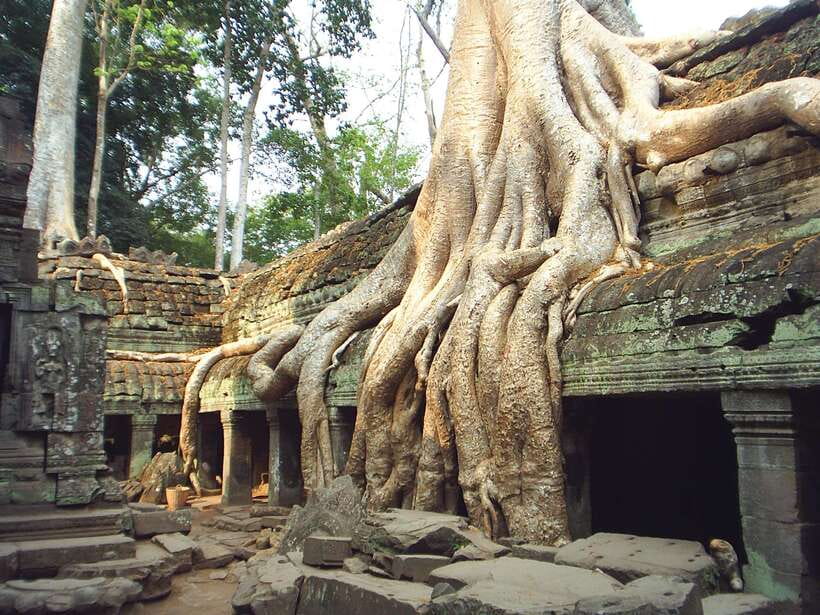Angkor Wat: Small-Group Tour with Balloon Ride and Lunch - Key highlights worth targeting