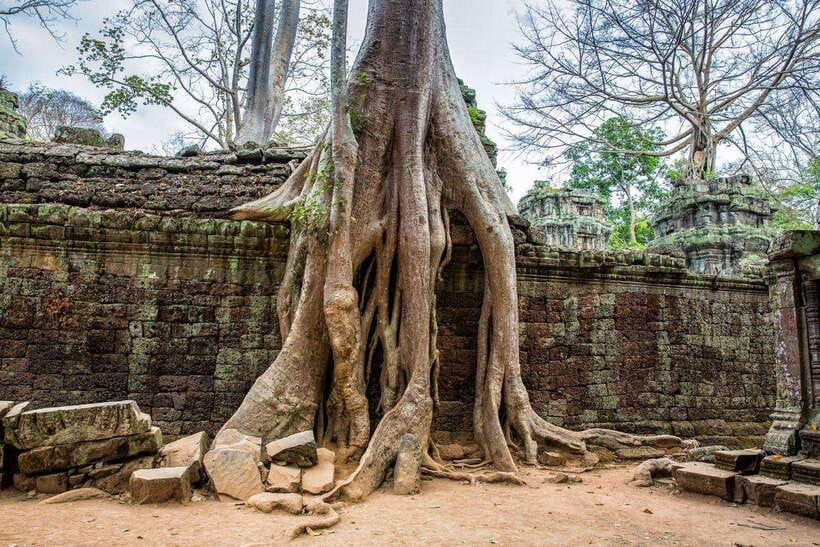 Angkor Wat Small Tour Sunrise With Private Tuk Tuk - Tuk-tuk + English driver + private group: why that combo matters