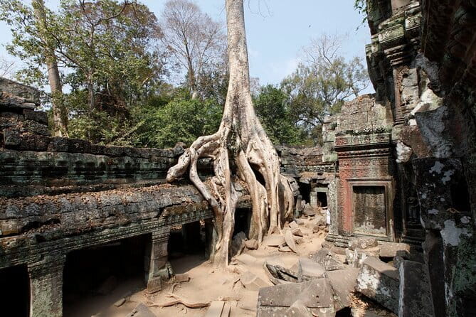 Angkor Wat & Small Tour with Bonteay Srei Temples - Banteay Srei: smaller footprint, bigger details