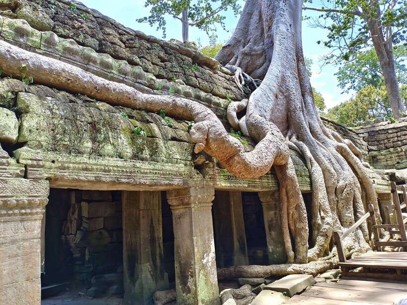 Angkor Wat: Sunrise 2.5 Days with Tonle Sap Lake Tour - Small-Group Comfort, Guides with Photo Sense, and Drivers Who Watch the Details