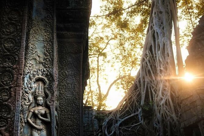 Angkor Wat Sunrise & 3 Main Temples with Breakfast – Small Group - Ta Prohm: where the trees and stones get equal billing