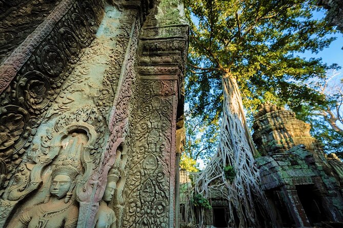 Angkor Wat Sunrise & All Highlight Angkor Temple Private Day Tour - Ta Nei and Ta Prohm: from formal temple to the kingdom of trees
