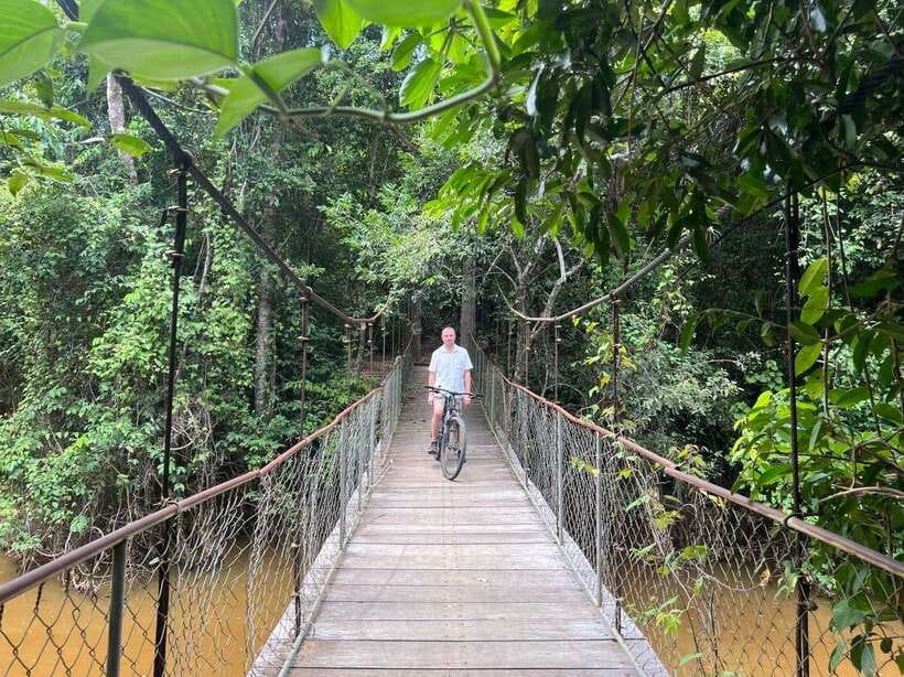 Angkor Wat Sunrise Bike Tour With Lunch Included - Ta Prohm: trees, ruins, and the slow pause you’ll want