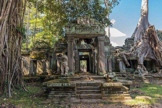 Angkor Wat Sunrise: Exclusive Private Tour! - Banteay Kdei: Monk Cells and Tree Roots in the Same Frame