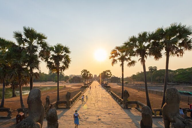 Angkor Wat Sunrise Guided Join-In Tour/Private Tour - Ta Prohm: when the trees grow into the ruins