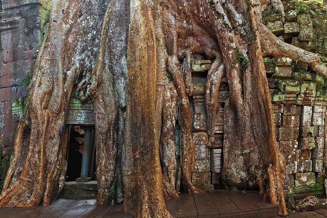 Angkor Wat Sunrise or Sunset Tour with Guide from Siem Reap - Transport, food breaks, and what an 8-hour day feels like