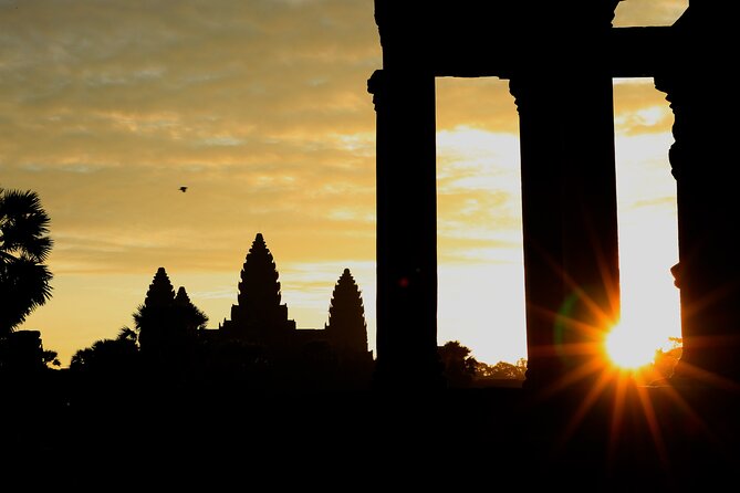 Angkor Wat Sunrise Private Full Day Tour - Ta Prohm’s jungle atmosphere and why the giant roots matter