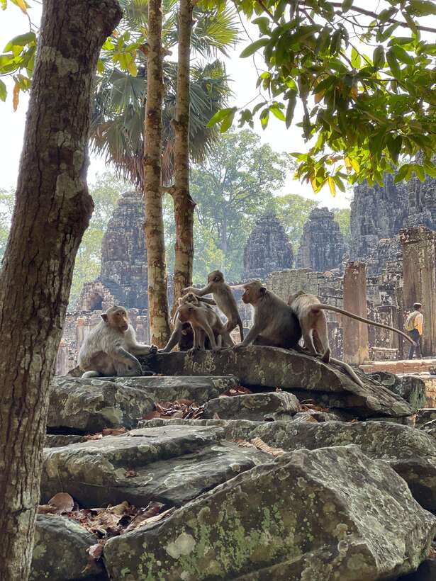 Angkor Wat Sunrise Private Full Day Tour - Price and Value: What You Pay vs. What You’re Actually Getting