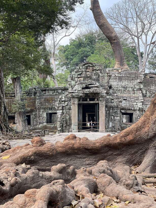 Angkor Wat Sunrise Private Full Day Tour - The Guide Makes the Difference: English, Photos, and Etiquette