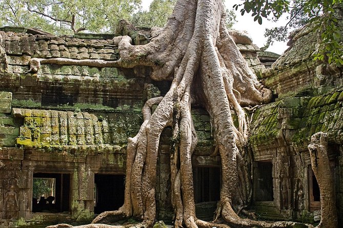 Angkor Wat Sunrise & Small Circuit Tour - Price and what you really pay for: $59 plus the Angkor Pass
