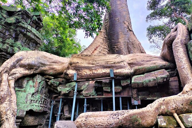 Angkor Wat Sunrise, Ta Promh, Banteay Srei, Bayon Private Tour - What the private format changes for your day