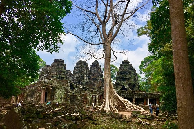 Angkor Wat Sunrise, Ta Promh, Banteay Srei, Bayon Private Tour - Practical tips so you enjoy it more (and stress less)
