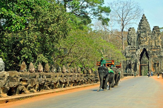 Angkor Wat Sunrise with Bayon & Ta Phrom - Ta Prohm (Tomb Raider Temple): roots, stone, and serious atmosphere