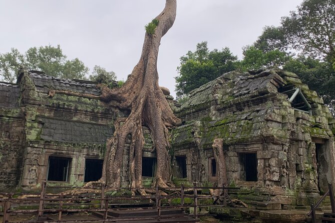 Angkor Wat Sunset TUK TUK Tour - Angkor Wat in the plan: the big-name center