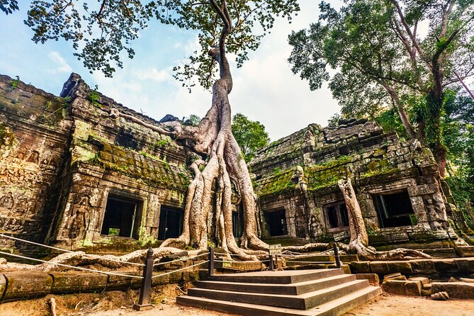 Angkor Wat, Ta Promh, Banteay Srei, Bayon temples Private Tour - Pickup, Transfers, and Keeping the Day Comfortable