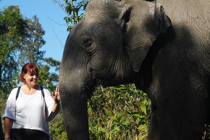Angkor Wat Temples & Kulen Elephant Forest Day Tour - Key highlights at a glance