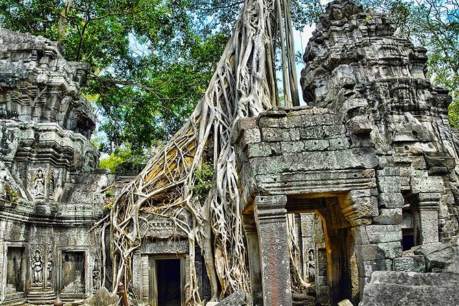 Angkor Wat Temples & Kulen Elephant Forest Day Tour - Phnom Kulen Elephant Forest: meeting gentle giants on a guided trip