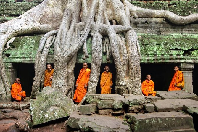 Angkor Wat Temples Tour with Entrance Ticket and Lunch - Ta Prohm: Tree Roots, Ruins, and a Guide’s Explanation
