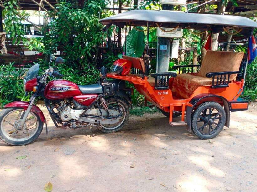 Angkor Wat Tour by Tuk-Tuk with English Speaking Driver - Ta Prohm: short stop, big impact