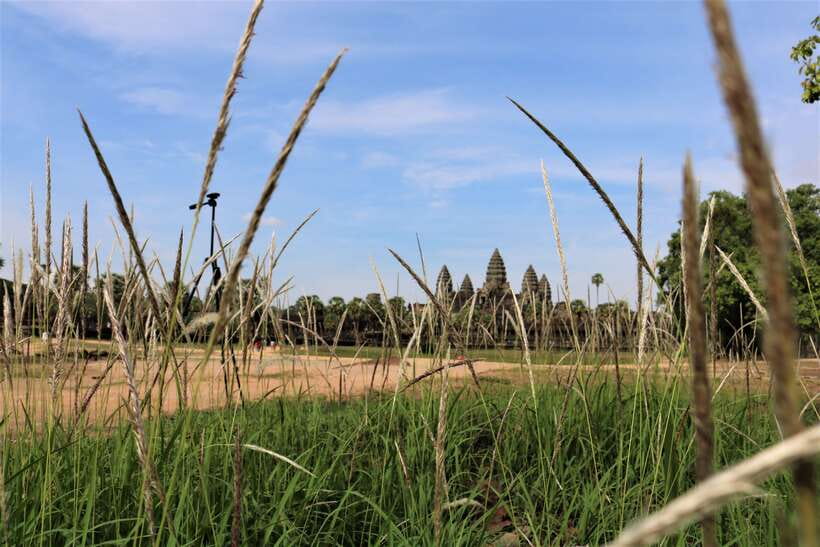 Angkor Wat: Tuk Tuk and Walking Tour - Ta Prohm Jungle Temple: Where the Ruins Feel Alive