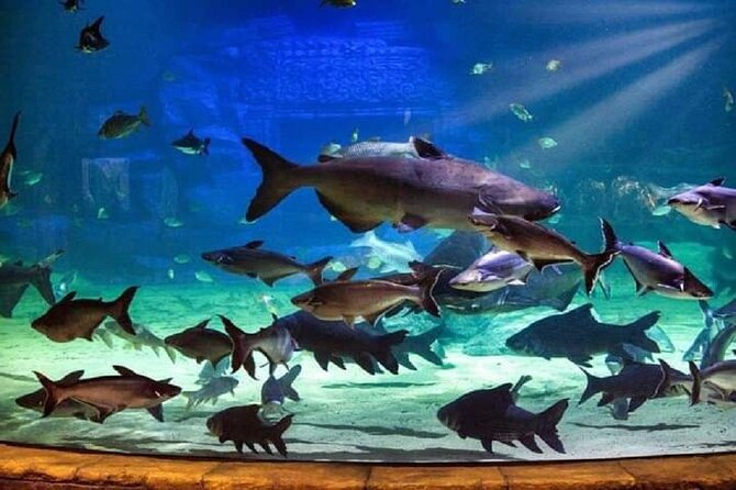 Angkor Wildlife & Aquarium Halfday tour - Tips to get more out of your visit