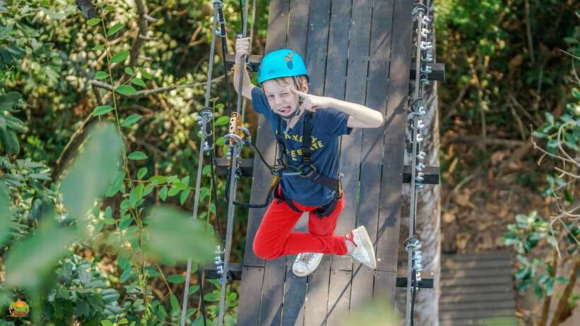 Angkor Zipline Eco-Adventure Canopy Tour - Key things to know before you go
