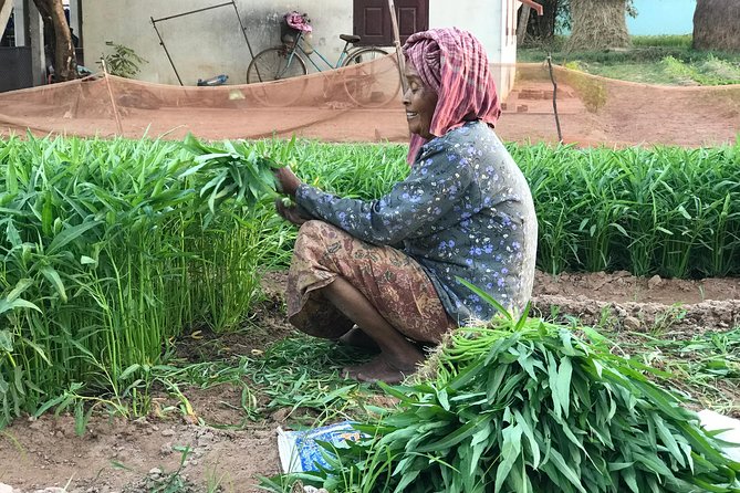Authentic Cambodian Countryside Jeep Experience - Farming Life, Ducks, and a Village Market Stop