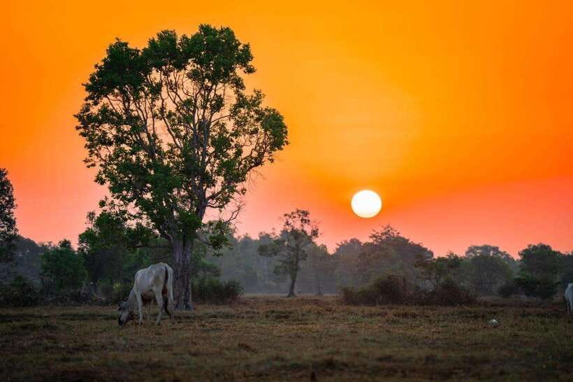 Authentic Siem Reap: Tuk Tuk Countryside and Sunset Tour - Wat stops and quick browsing breaks that keep the day moving