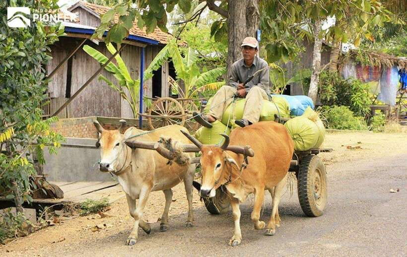 Back to Basics: Siem Reap Village Tour in Cambodia - Who should book this Siem Reap village tour?