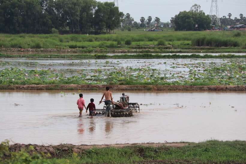 Back to Basics: Siem Reap Village Tour in Cambodia - Should you book this Siem Reap village tour?