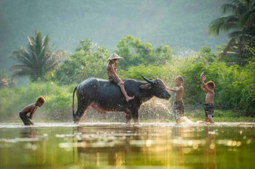 Back to Basics: Village Life Tour from Siem Reap - The Clean-Water and Livelihood Lesson Hidden in Everyday Tasks