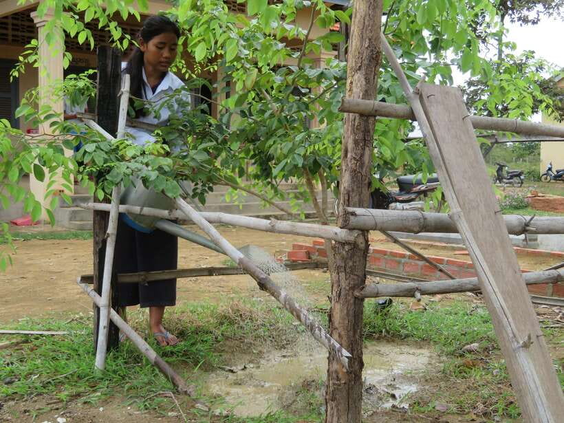 Back to Basics: Village Life Tour from Siem Reap - Meeting Hong: The Insider Guide Who Makes the Village Click