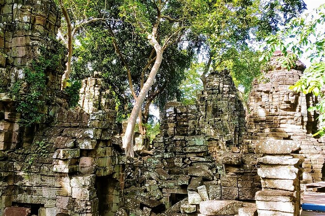 Banteay Chhmar Temple & Silk Farm Private Day Trip from Siem Reap - Angkor Silk Farm: see how silk actually happens (not just the end product)